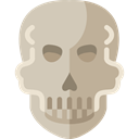 Anatomy, dangerous, skull, Poisonous, Dead, signs Silver icon