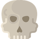 Dead, skull, signs, dangerous, Anatomy, medical, Poisonous Silver icon