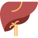 Liver, organ, Anatomy, medical, Body Parts IndianRed icon