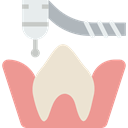 molar, Dentist, medical, mouth, Teeth, dental DarkSalmon icon