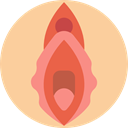 Female Organs, Gynecology, Anatomy, Vagina, medical, Reproductive System NavajoWhite icon