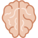 people, medical, Human Brain, Body Part, Brain, Body Organ Wheat icon