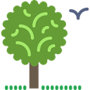 garden, Tree, nature, Botanical OliveDrab icon