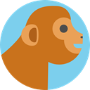 mammal, wildlife, Animal Kingdom, monkey, zoo, Animals Chocolate icon