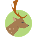 Animals, mammal, zoo, wildlife, deer, Animal Kingdom DarkKhaki icon