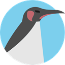 wildlife, Animals, Penguin, zoo, Animal Kingdom SkyBlue icon