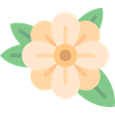 Botanical, petals, nature, blossom, Flower BlanchedAlmond icon