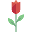Tulip, garden, Flower, Botanical, nature, blossom Black icon