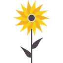 Flower, Botanical, sunflower, petals, nature, blossom Black icon