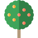Botanical, Orange Tree, nature, ecology, Tree MediumSeaGreen icon