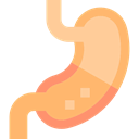 stomach, Body Parts, Anatomy, medical, organ LightSalmon icon