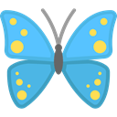 insect, Animals, Moths, butterfly MediumTurquoise icon