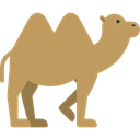 zoo, Animal Kingdom, Animal, Wild Life, Animals, Camel DarkKhaki icon