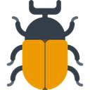 insect, beetle, Animal Kingdom, bug, Animals Orange icon