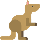kangaroo, Animals, Animal Kingdom, zoo, Animal, Wild Life DarkKhaki icon