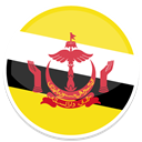 Brunei Gold icon