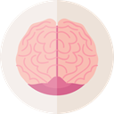 Brain, Body Part, Anterior Part, medical, Brain Anterior, people, Human Brain, Body Organ, Healthcare And Medical LightPink icon