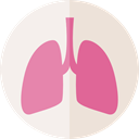Breath, Lungs, medical, organ, Healthcare And Medical, Lung, Anatomy PaleVioletRed icon
