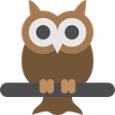 owl, Big, vision, bird, Eyes, night, wild DarkOliveGreen icon
