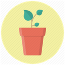 Flower, eco, pot, plant, grow, seed, leaves PaleGoldenrod icon