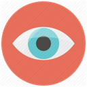 Eye, Visibility, visible, look, watching, watch, vision Coral icon