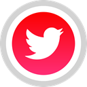 Logo, media, Social, twitter LightGray icon