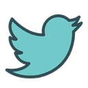 Social, Animal, twitter, bird, media MediumAquamarine icon