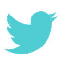 Animal, bird, media, twitter, Social MediumTurquoise icon