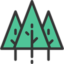 yard, Pine, Forest, nature, Tree, garden, Botanical, Ecology And Environment MediumAquamarine icon