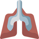 medical, Healthcare And Medical, Breath, Anatomy, organ, Lung, Lungs IndianRed icon