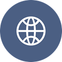 Connection, internet, web, globe, website, worldwide DarkSlateBlue icon
