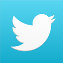 bird, media, Social, tweet, social network, twitter MediumTurquoise icon
