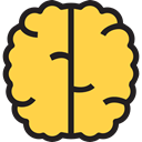 Brain, Anterior Part, Body Organ, Brain Anterior, Healthcare And Medical, medical, Human Brain, Body Part, people SandyBrown icon