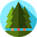 Forest, Pine, yard, Botanical, Tree, garden, nature DarkOliveGreen icon