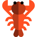 food, Sea Life, lobster, Food And Restaurant, Animal, Animals OrangeRed icon