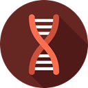 Dna Structure, medical, Biology, science, Genetical, Healthcare And Medical, education, Deoxyribonucleic Acid, dna SaddleBrown icon