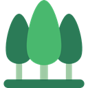 Pine, yard, garden, Forest, Botanical, trees, nature SeaGreen icon