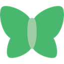 insect, Moths, Animals, butterfly MediumSeaGreen icon