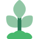 Plant Leaf, grow, Ecology And Environment, plant, Leaf, nature, Growing DarkSeaGreen icon