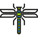bug, Animals, Animal Kingdom, Dragonfly, insect, wings Black icon