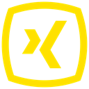 Xing icon Gold icon