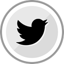 Logo, twitter, Social, corporate, media Lavender icon