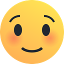 blush, Emoji, reaction, smile, Emoticon, shy SandyBrown icon