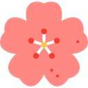 plant, Cherry Blossom, nature, spring, floral, Bloom, blossom, Cherry LightCoral icon