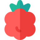 Food And Restaurant, raspberry, food, vegetable, Fruit, Blackberry Tomato icon
