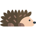 hedgehog, wildlife, Animals, Animal Kingdom, zoo DarkOliveGreen icon