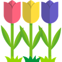 Botanical, Tulip, nature, garden, Tulips, blossom, Flower Black icon