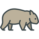 Wild Life, zoo, Wombat, Animals, Animal Kingdom DarkGray icon