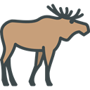 Animal Kingdom, Wild Life, Animals, zoo, Moose RosyBrown icon