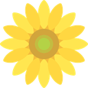 petals, Flower, sunflower, Botanical, blossom, nature SandyBrown icon